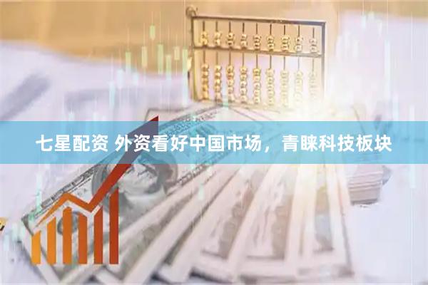 七星配资 外资看好中国市场，青睐科技板块
