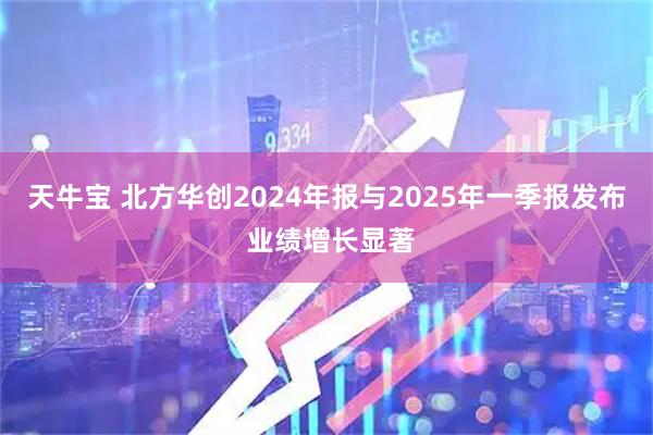 天牛宝 北方华创2024年报与2025年一季报发布 业绩增长显著