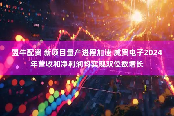 盟牛配资 新项目量产进程加速 威贸电子2024年营收和净利润均实现双位数增长