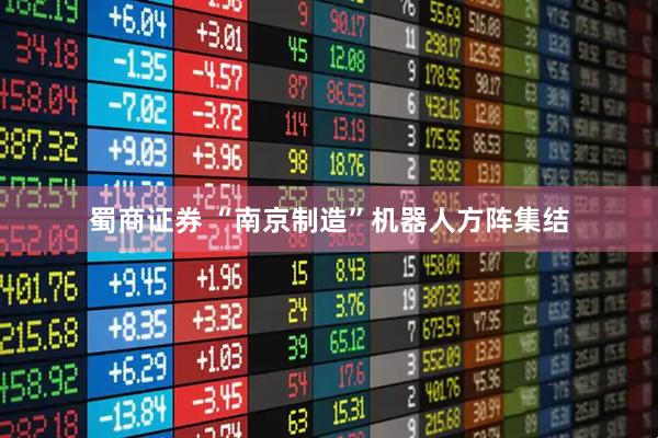 蜀商证券 “南京制造”机器人方阵集结