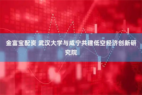金富宝配资 武汉大学与咸宁共建低空经济创新研究院