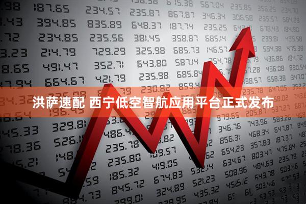 洪萨速配 西宁低空智航应用平台正式发布