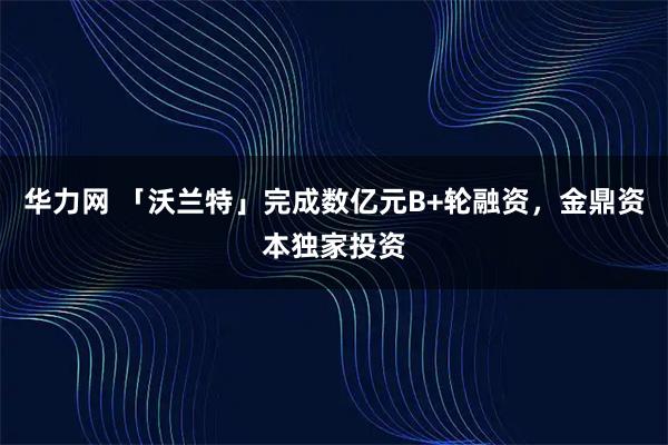 华力网 「沃兰特」完成数亿元B+轮融资,金鼎资本独家投资