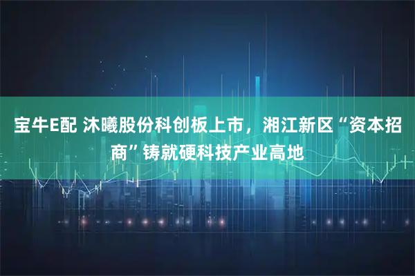 宝牛E配 沐曦股份科创板上市，湘江新区“资本招商”铸就硬科技产业高地