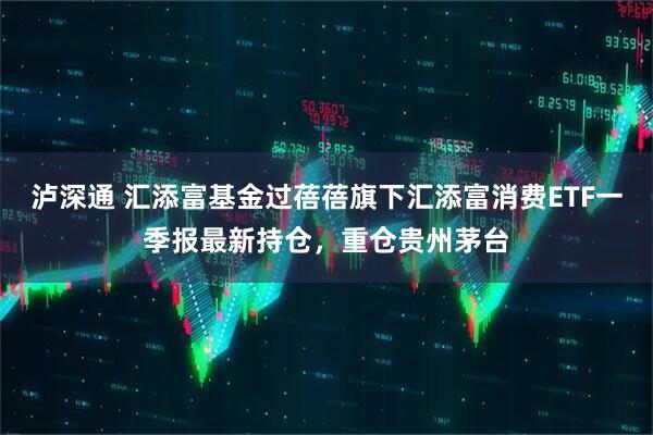 泸深通 汇添富基金过蓓蓓旗下汇添富消费ETF一季报最新持仓，重仓贵州茅台