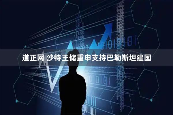 道正网 沙特王储重申支持巴勒斯坦建国