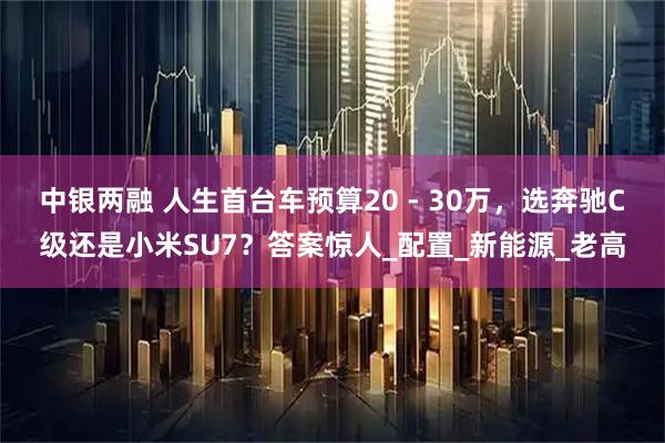 中银两融 人生首台车预算20 - 30万，选奔驰C级还是小米SU7？答案惊人_配置_新能源_老高